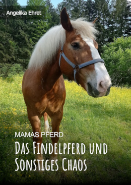 Mamas Pferd: Das Findelpferd und sonstiges Chaos